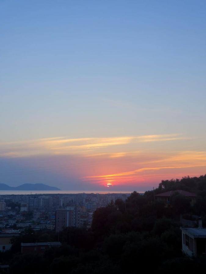 Vila Oliven Vlorë エクステリア 写真