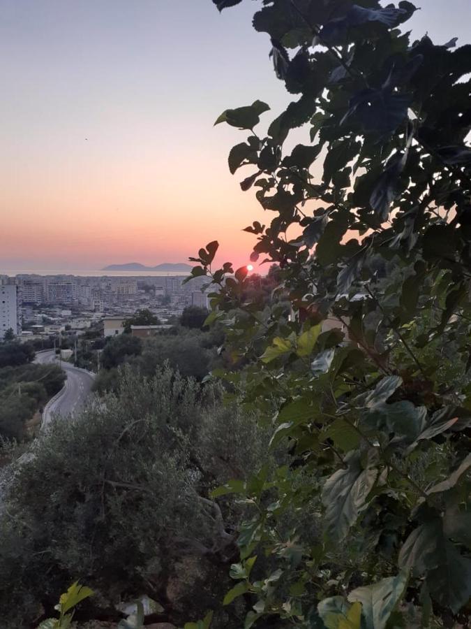 Vila Oliven Vlorë エクステリア 写真