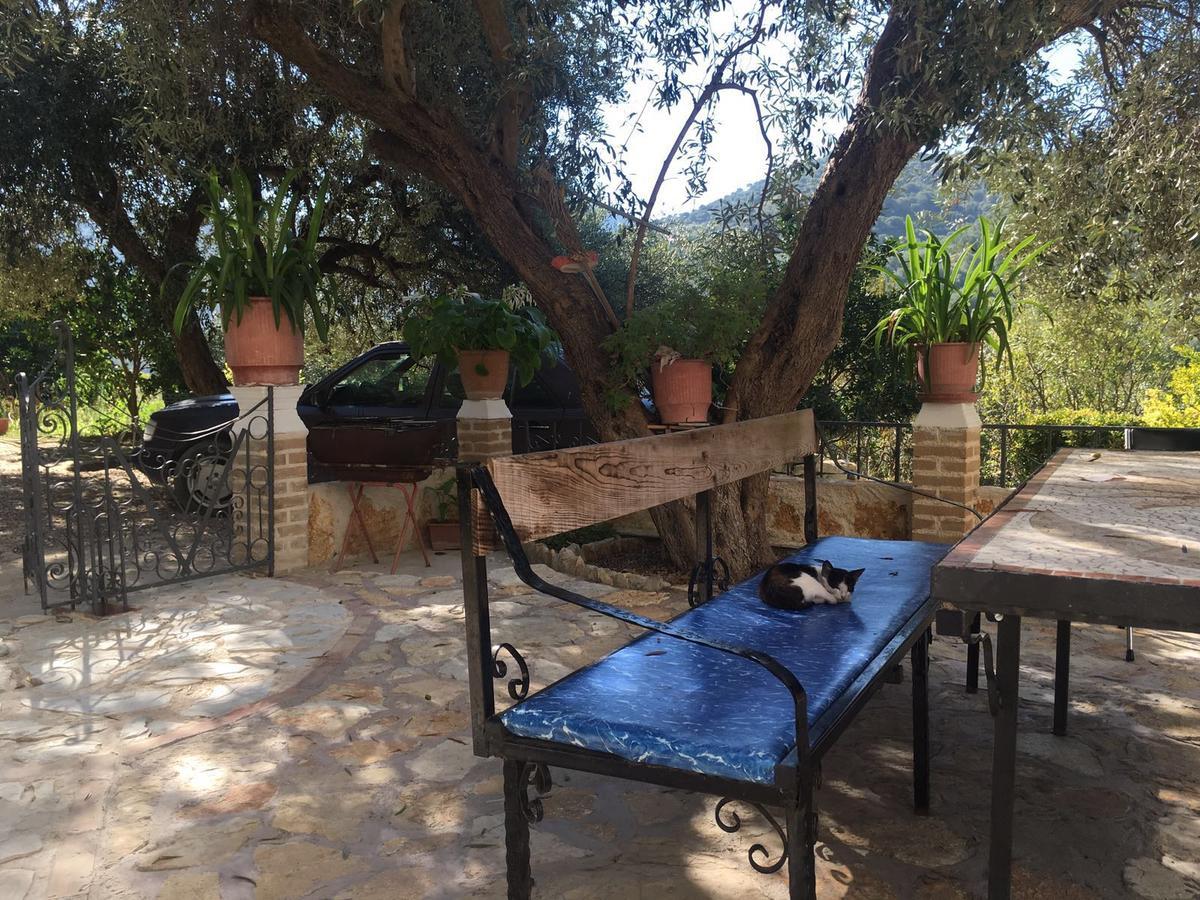 Vila Oliven Vlorë エクステリア 写真