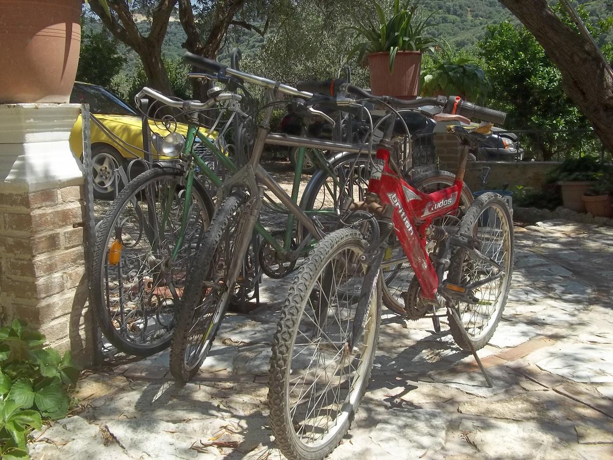 Vila Oliven Vlorë エクステリア 写真